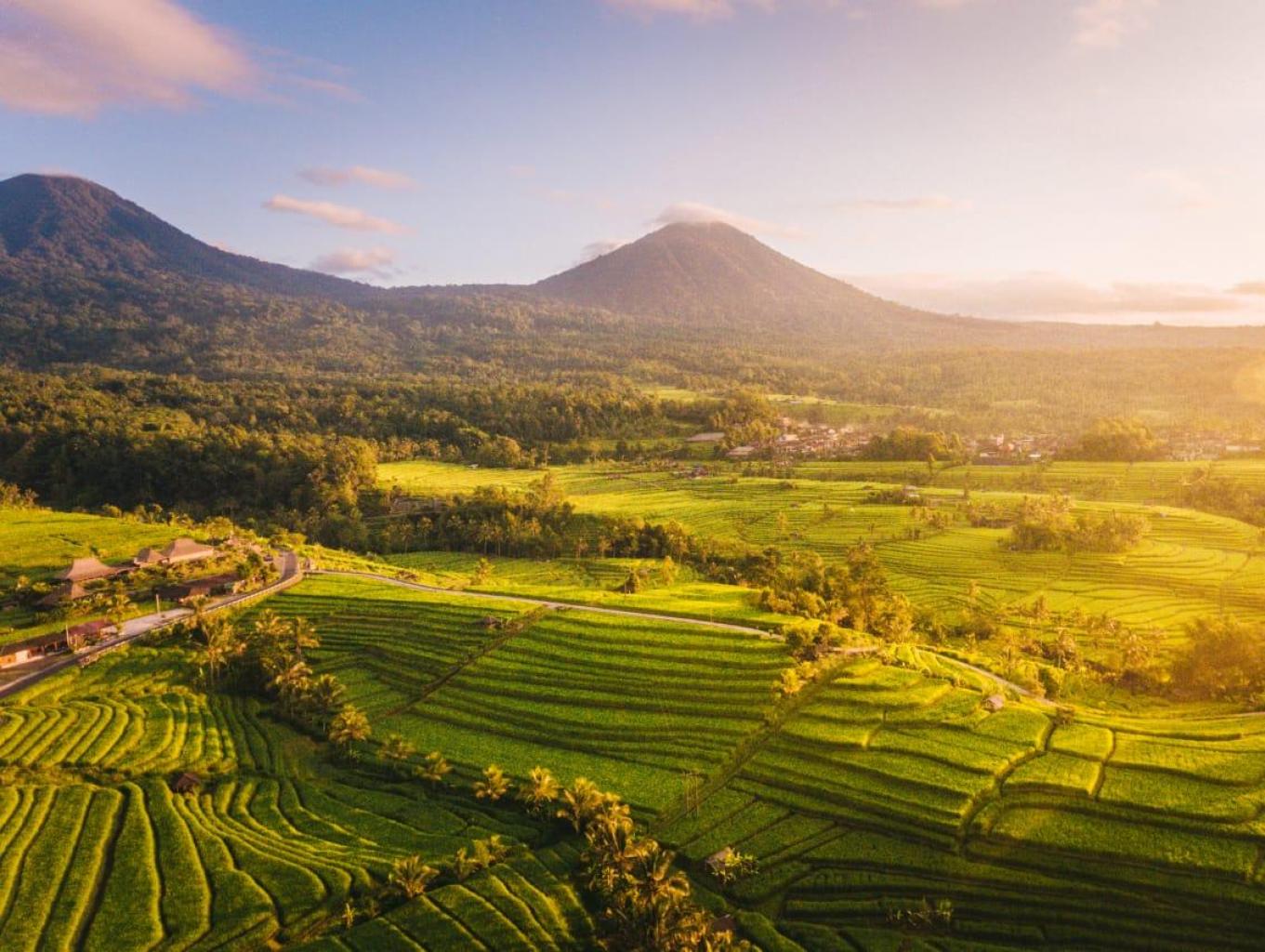 Alam Desa Cipinang Muara yang Asri