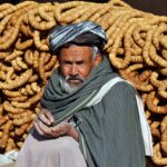 Pentingnya Pelestarian Flora dan Fauna di Cipinang Muara